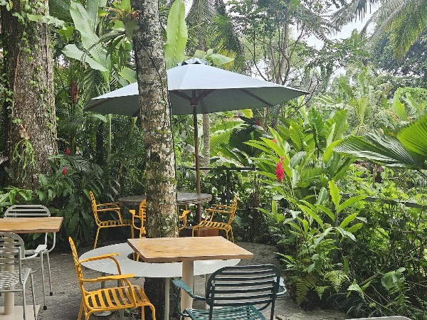 Reina Jungla — work cafe in Ubud