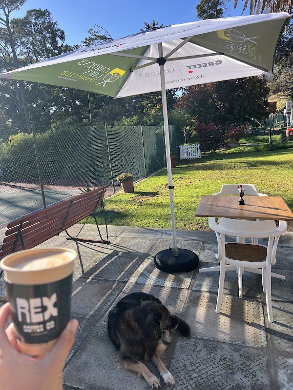 Rex’s — work cafe in Cape Town
